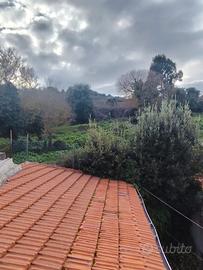 Terratetto unifamiliare con giardino