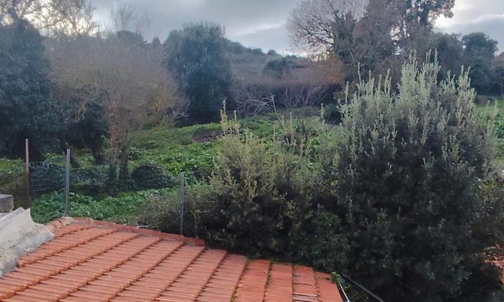 Terratetto unifamiliare con giardino