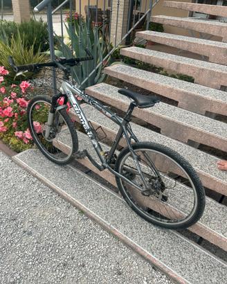 bianchi mutt 7300