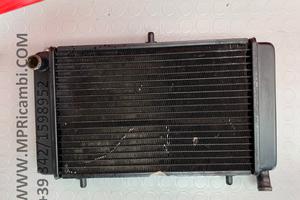 RADIATORE ACQUA APRILIA RS 125 1999 2005 RS125 200