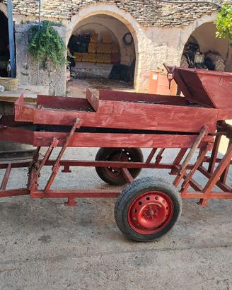 attrezzi agricoli cernitrice per olive