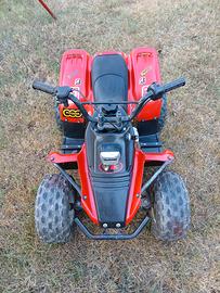 quad atv
