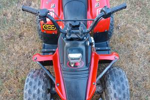 quad atv
