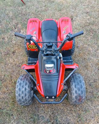 quad atv