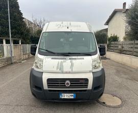 Fiat Ducato ducato maxi 12 posti