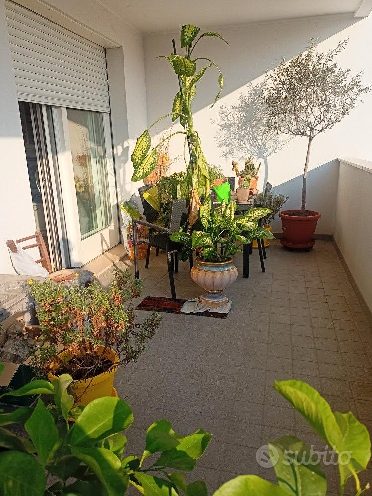 Appartamento – PN - Vista 3
