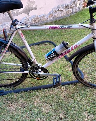 MTB Atala 