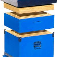 ARNIA CUBO 10 FAVI, MELARIO E TELAINI X APICOLTURA