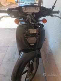 scarabeo 50