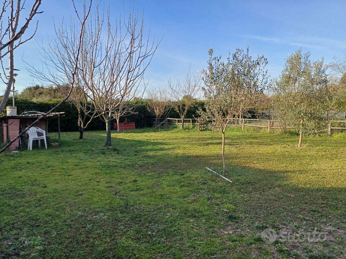 Terreno Agricolo Grosseto [Cod. rif 3131592VCG] - Vista 5