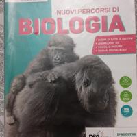 libri di testo scuole  Taddia (Cento FE) 