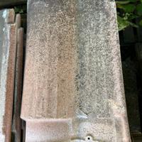 Tegola portoghese invecchiata FBM