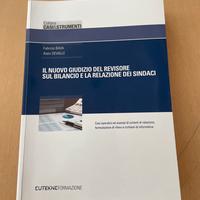 Il nuovo giudizio del revisore sul bilancio
