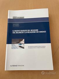 Il nuovo giudizio del revisore sul bilancio