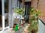 Immagine 21