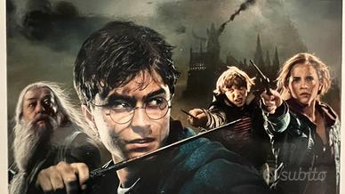 Harry Potter collezione completa 8 film DVD