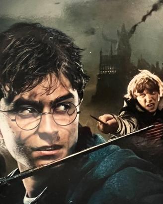 Harry Potter collezione completa 8 film DVD