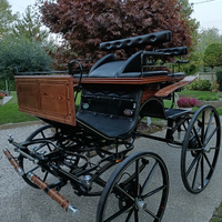 Carrozza Spider