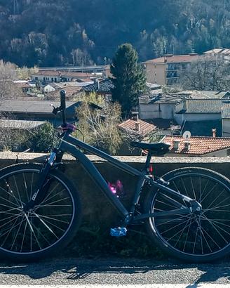 bici mtb