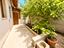 Immagine 11