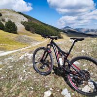 Specialized full 29