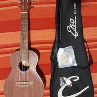 Ukulele Concert Eko Duo