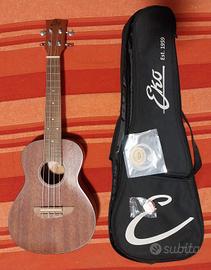 Ukulele Concert Eko Duo