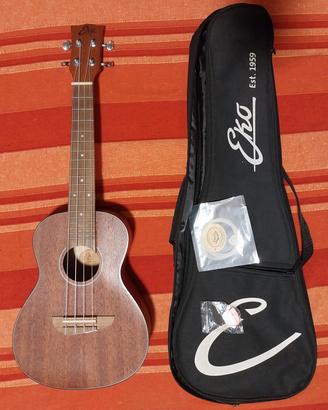 Ukulele Concert Eko Duo