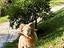 Immagine 3