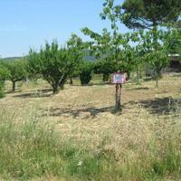 Terreno edificabile a Baranello
