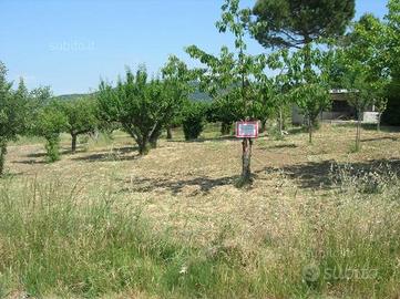 Terreno edificabile a Baranello
