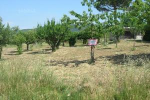 Terreno edificabile a Baranello