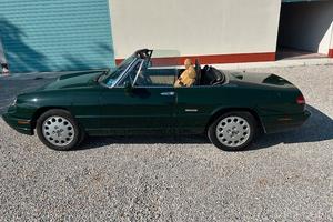 ALFA ROMEO Spider - 1993