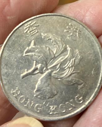 5 dollari hong kong
