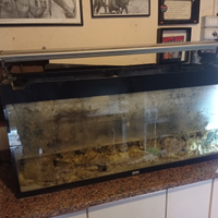 Acquario juvel 300 litri , rocce marine ecc