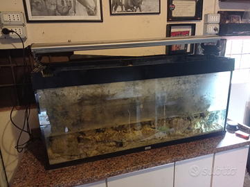 Acquario juvel 300 litri , rocce marine ecc