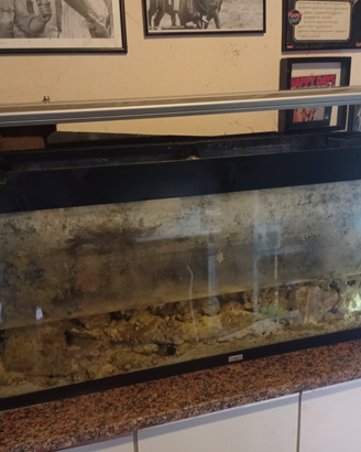 Acquario juvel 300 litri , rocce marine ecc