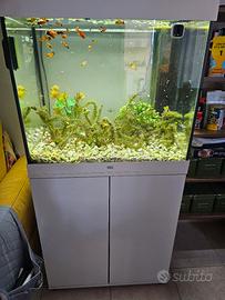 acquario juwel lido 200 litri