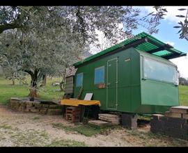 Terreno agricolo Palombara Sabina