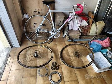 BIci da corsa Viner/Campagnolo