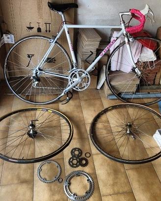 BIci da corsa Viner/Campagnolo