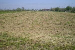 Terreno a Campodarsego (PD) - Fiumicello