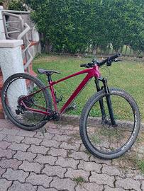 wheelie bike piton