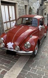 Maggiolino