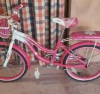 Bicicletta da bambina sino ai 10 anni