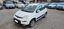 fiat-panda-4x4-1-3-mjt-75cv-2014-iva-detraibil