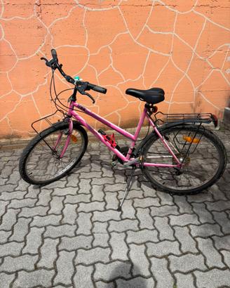 Mtb donna