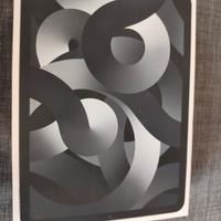 iPad Air 5th generazione wifi + cellular