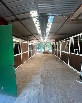 Maneggio box per cavalli