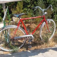 Bici uomo